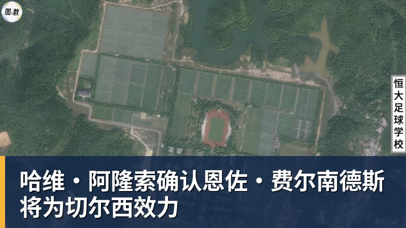 哈维·阿隆索确认恩佐·费尔南德斯将为切尔西效力